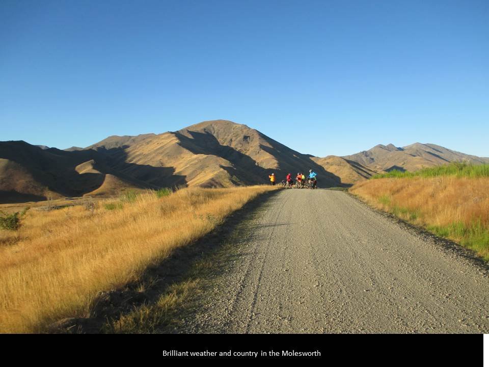 16.jpg (80170 bytes)